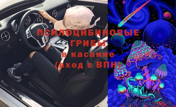 гашик Балабаново