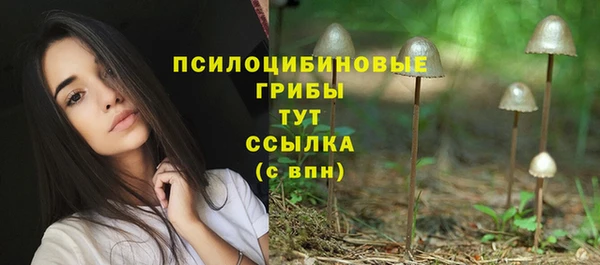 гашик Балабаново