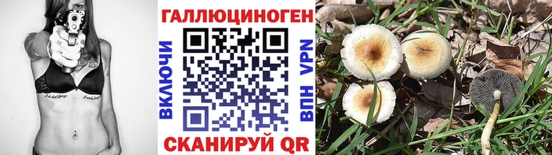 сайты даркнета наркотические препараты  где найти наркотики  Няндома  Галлюциногенные грибы мухоморы 
